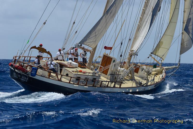 The sail-training schooner Ocean Star - 2018 Antigua Classic Yacht Regatta - Day 4 photo copyright Richard Sherman taken at Antigua Yacht Club and featuring the Classic Yachts class