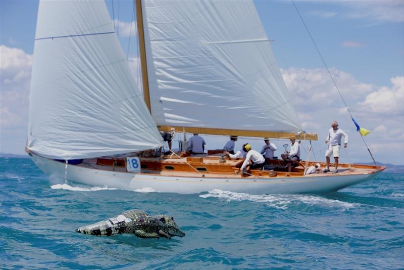 Cippino II (Daniel Seilecki) - Day 2 - Argentario Sailing Week and Panerai Classic Yacht Challenge photo copyright Franco Pace taken at Yacht Club Santo Stefano and featuring the Classic Yachts class