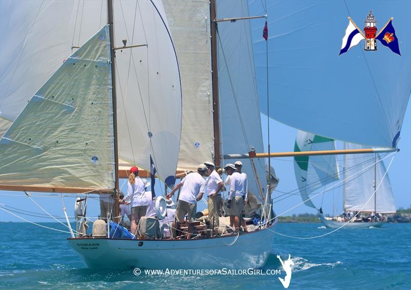 All sails set, Dorade sails downwind the Royal Bermuda Yacht Club Anniversary Regatta en route to a win over the others in the Onion Patch Navigators Series photo copyright Nic Douglass – AdventuresofaSailorGirl.com taken at Royal Bermuda Yacht Club and featuring the Classic Yachts class