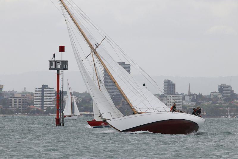 Scimitar skippered by Damian Purcell on day 1 of the 12th Classic Yacht Cup Regatta - photo © Alex McKinnon Photography