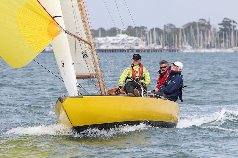 Dingo skippered by Jim Hutchinson on day 1 of the 12th Classic Yacht Cup Regatta - photo © Alex McKinnon Photography