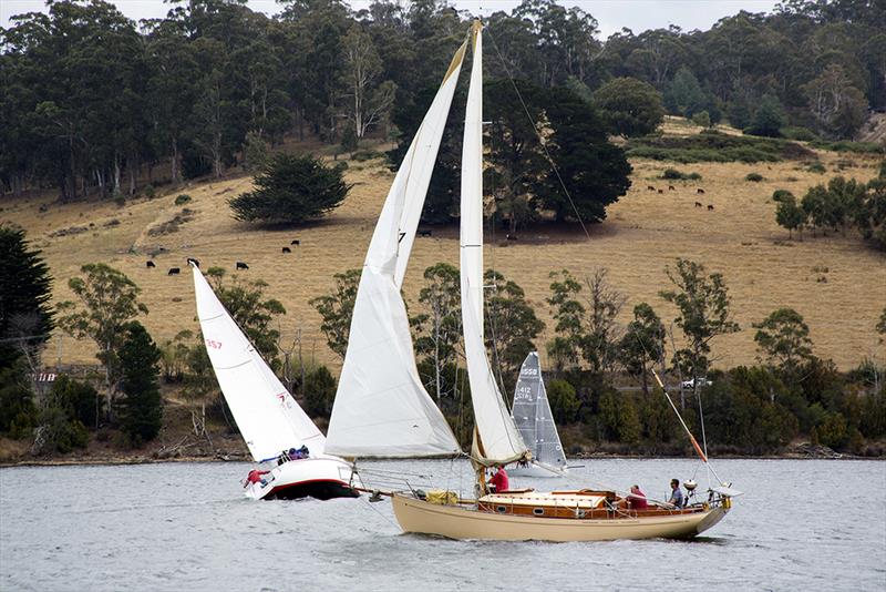 Yleena, a US-designed Friendship cruising yacht, won Division 2 and finished third in the Classic division - 2019 Cygnet Regatta Weekend photo copyright Jessica Coughlan taken at Port Cygnet Sailing Club and featuring the Classic Yachts class