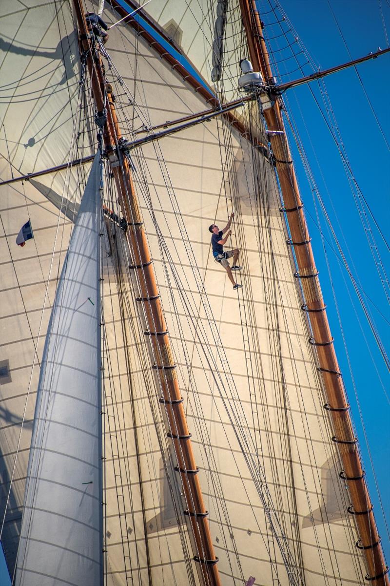 Climbed aloft on Mariette of 1905 photo copyright Francesco e Roberta Rastrelli / Blue Passion 2018 taken at Yacht Club Capri and featuring the Classic Yachts class