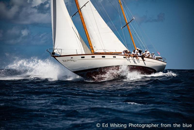 Paul Deeth's 1965 50' John Alden ketch Petrana - Antigua Classics Yacht Regatta - photo © Ed Whiting Photographer from the blue