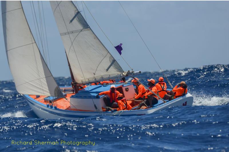 Traditional Class, Charlotte & Billy Hooijdonk's New Moon - Antigua Classic Yacht Regatta photo copyright Richard Sherman taken at Antigua Yacht Club and featuring the Classic Yachts class