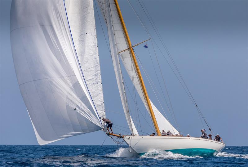 Halloween - XII Puig Vela Clàssica Barcelona Regatta day 2 photo copyright Nico Martinez taken at Real Club Nautico de Barcelona and featuring the Classic Yachts class