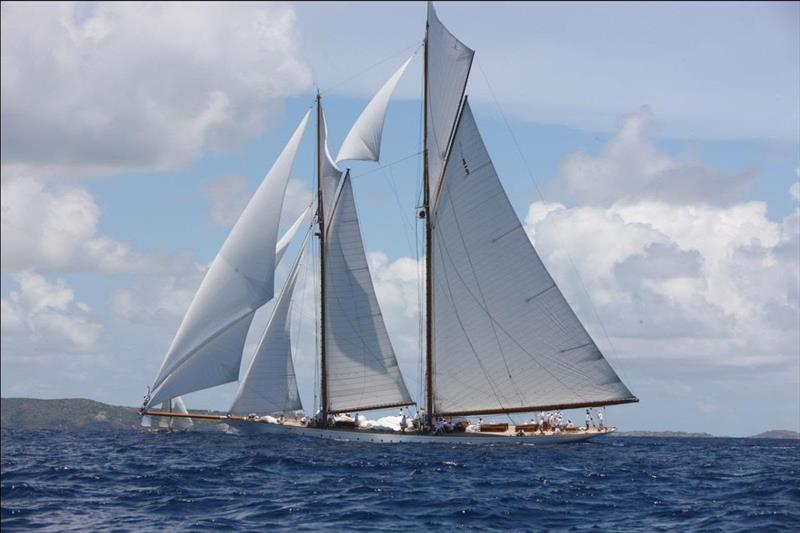 137' Herreshoff gaff schooner Elena of London - Antigua Classic Yacht Regatta photo copyright Ginny Field taken at Antigua Yacht Club and featuring the Classic Yachts class