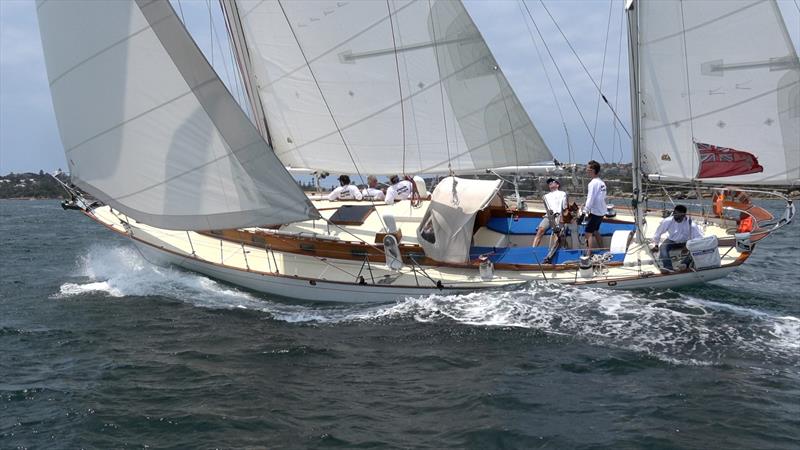 Windrose powers down Sydney Harbour photo copyright Crosbie Lorimer taken at Cruising Yacht Club of Australia and featuring the Classic Yachts class