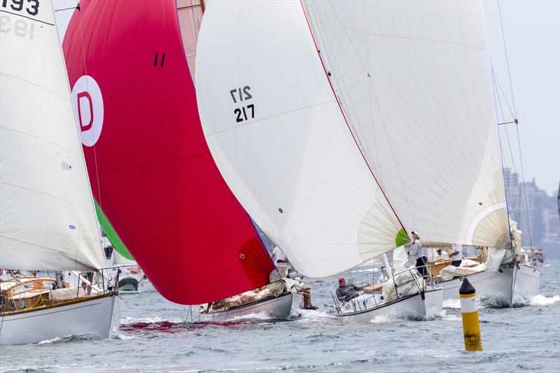 Fleet approaching the leeward mark photo copyright Andrea Francolini taken at Cruising Yacht Club of Australia and featuring the Classic Yachts class