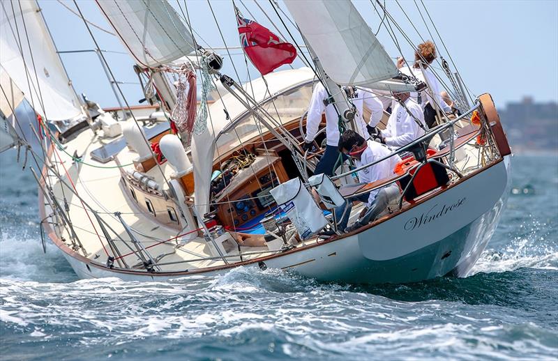 Classic Yacht Regatta - Ashok Mani's SandS 48 Windrose photo copyright Bow Caddy Media taken at Cruising Yacht Club of Australia and featuring the Classic Yachts class
