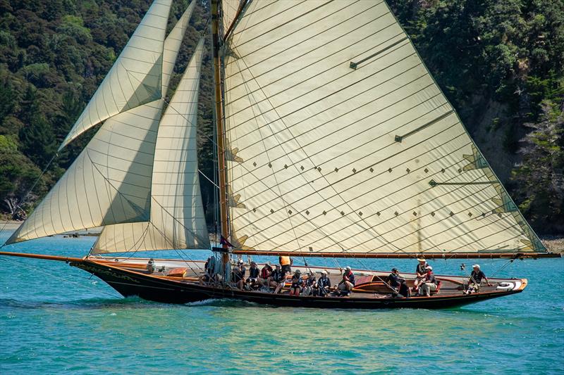 Waitangi - 2020 Mahurangi Regatta - Mahurangi Cruising Club - January 25, 2020 - photo © Richard Gladwell / Sail-World.com