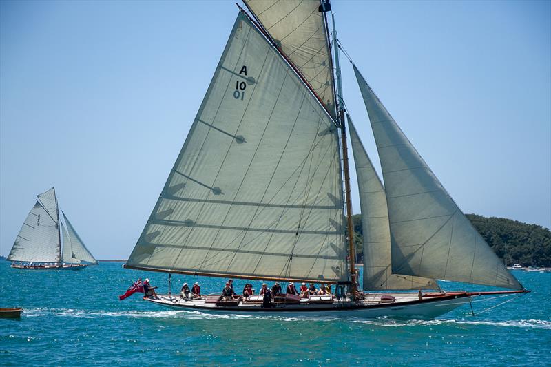 Thelma - 2020 Mahurangi Regatta - Mahurangi Cruising Club - January 25, 2020 - photo © Richard Gladwell / Sail-World.com