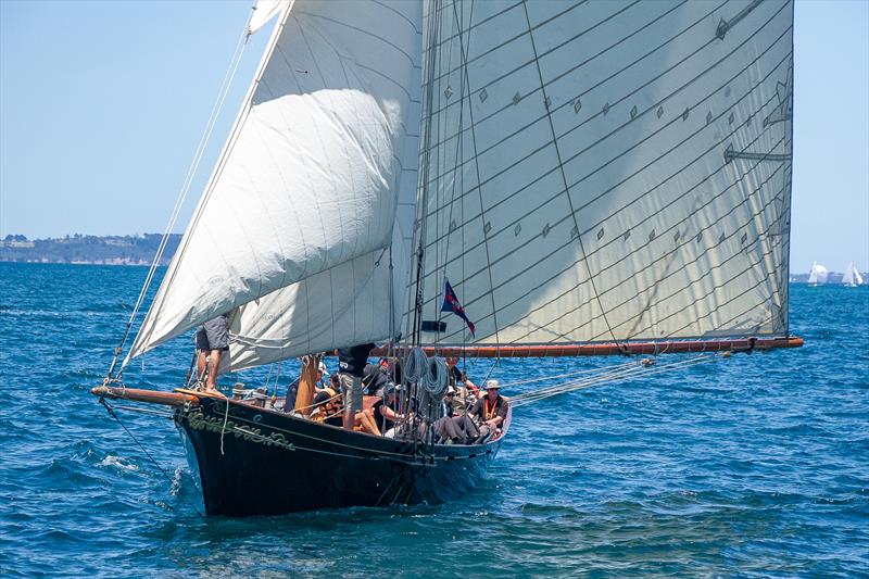 Waitangi - 2020 Mahurangi Regatta - Mahurangi Cruising Club - January 25, 2020 - photo © Richard Gladwell / Sail-World.com