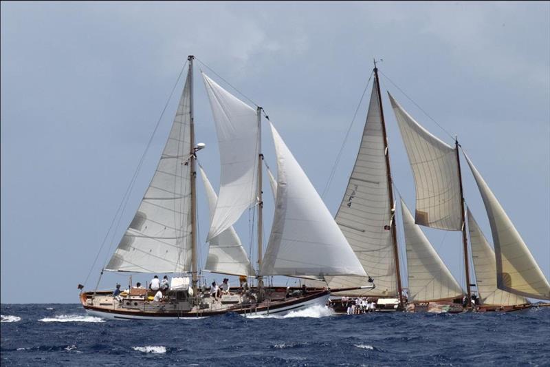 Russamee and Mary Rose - Antigua Classic Yacht Regatta photo copyright Antigua Classic Yacht Regatta taken at Antigua Yacht Club and featuring the Classic Yachts class