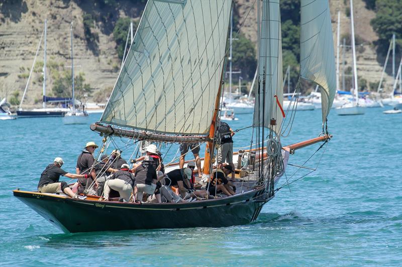 Waitangi - Mahurangi Regatta - Mahurangi Harbour - January 2020 - photo © Richard Gladwell / Sail-World.com