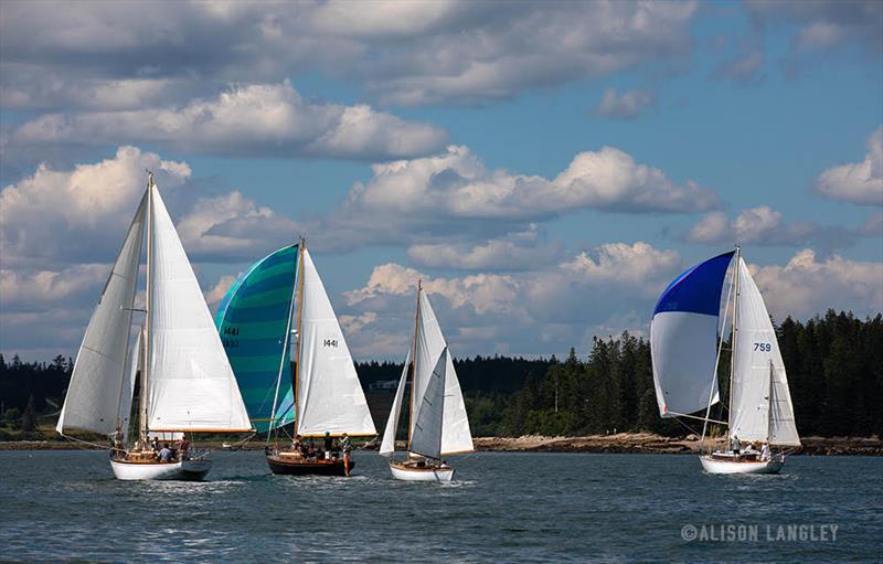 2020 Wooden Boat Series photo copyright Alison Langley taken at  and featuring the Classic Yachts class