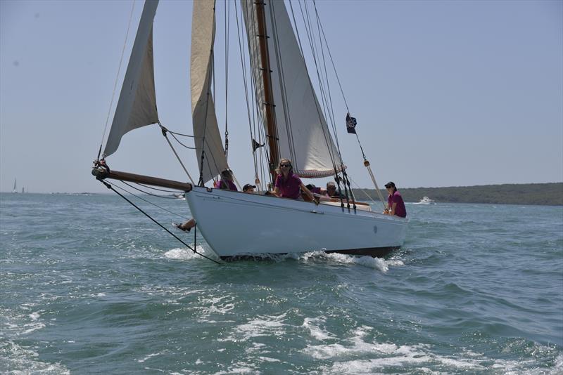 Classic yacht Rawene sails in the 2020 regatta photo copyright Peter Le Scelle taken at  and featuring the Classic Yachts class