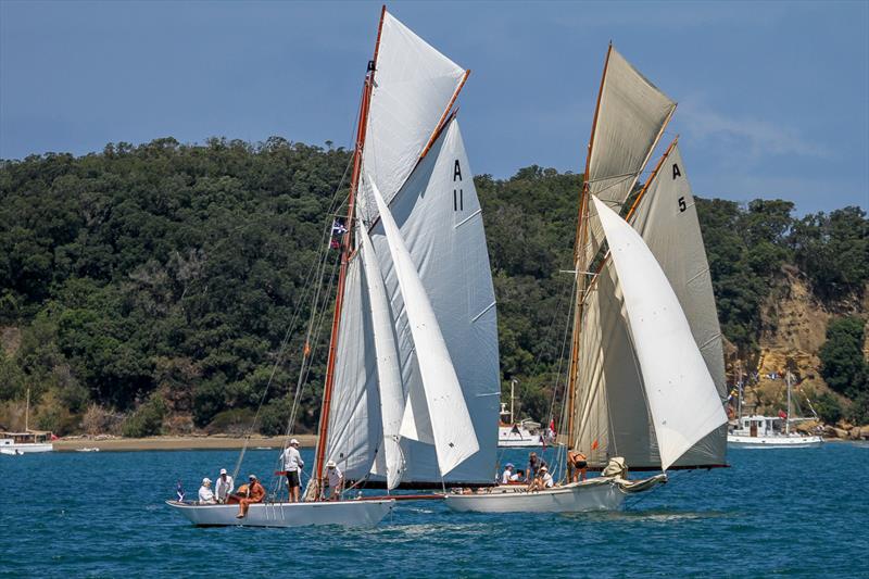 Ida (A11- 1895) to windward, and Rawene (A5- 1908) - Mahurangi Regatta - January 29, 2022 photo copyright Richard Gladwell - Sail-World.com/nz taken at  and featuring the Classic Yachts class