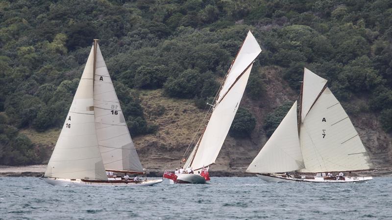 Little Jim (A16), Ariki (A3) and Rainbow (A7) - Mahurangi Regatta - January 29, 2022 photo copyright Richard Gladwell - Sail-World.com/nz taken at  and featuring the Classic Yachts class