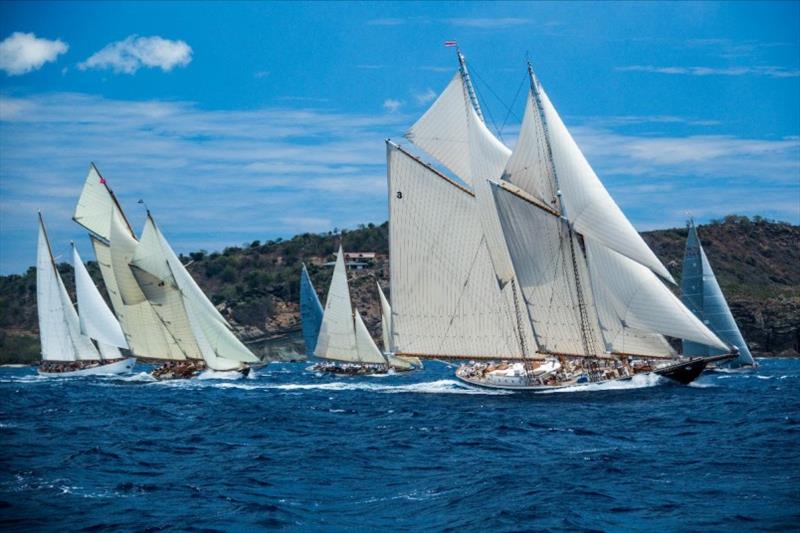 Antigua Classic Yacht Regatta 2018 photo copyright Emma Jones taken at Antigua Yacht Club and featuring the Classic Yachts class