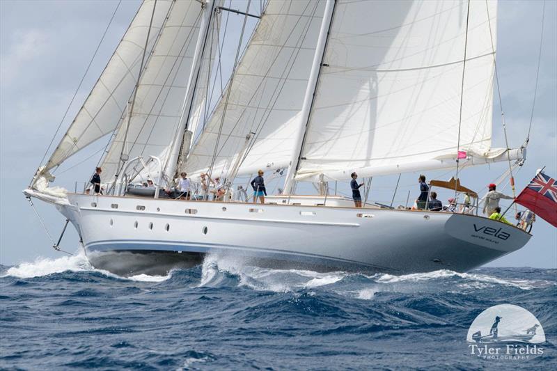 112' Staysail schooner Vela enthusiastically sailed by their young crew - Antigua Classic Yacht Regatta photo copyright Tyler Fields taken at Antigua Yacht Club and featuring the Classic Yachts class