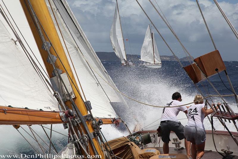 classic yacht races