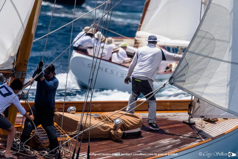 The Blue Peter chasing Genesis - Antigua Classic Yacht Regatta photo copyright Cory Silken taken at Antigua Yacht Club and featuring the Classic Yachts class