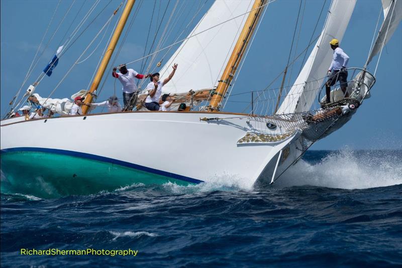 antigua classic yacht regatta 2023 results