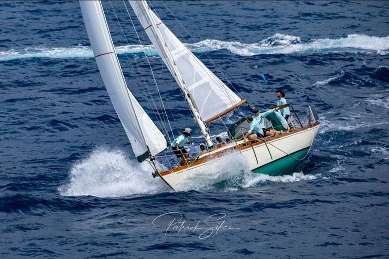 Alani 35' Alan Guerney sloop is winning the smaller Classic GRP class - 2023 Antigua Classic Yacht Regatta - photo © Patrick Sikes