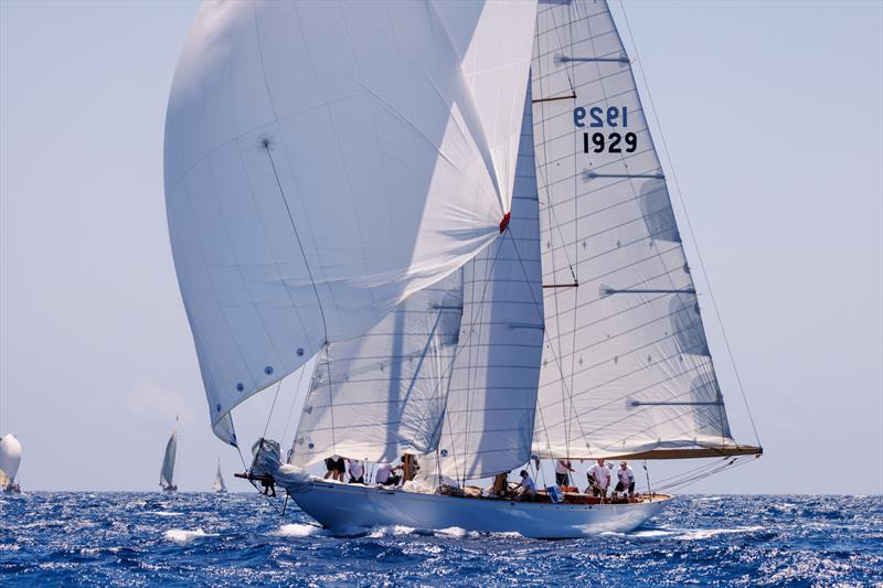 Puig Vela Clàssica Day 3 photo copyright Nico Martinez / Puig Vela Clàssica taken at Real Club Nautico de Barcelona and featuring the Classic Yachts class