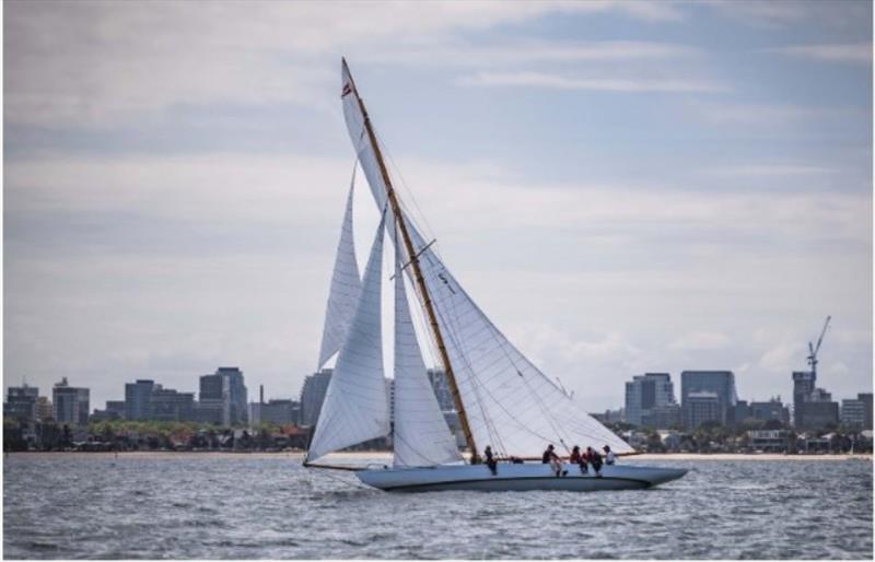 CYAA 2023 Cup Regatta - photo © www.patchclapp.com