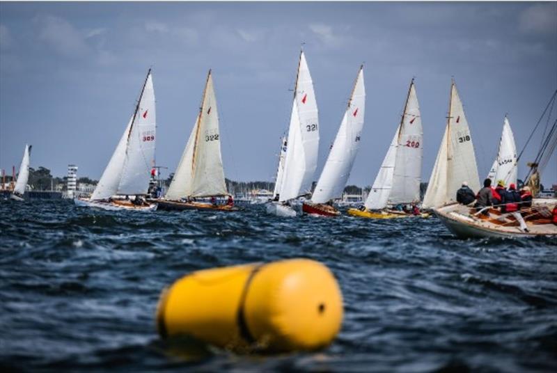 CYAA 2023 Cup Regatta - photo © www.patchclapp.com