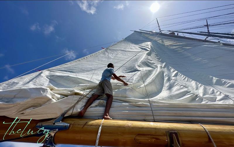 Antigua Classic Yacht Regatta photo copyright The Lucy taken at Antigua Yacht Club and featuring the Classic Yachts class