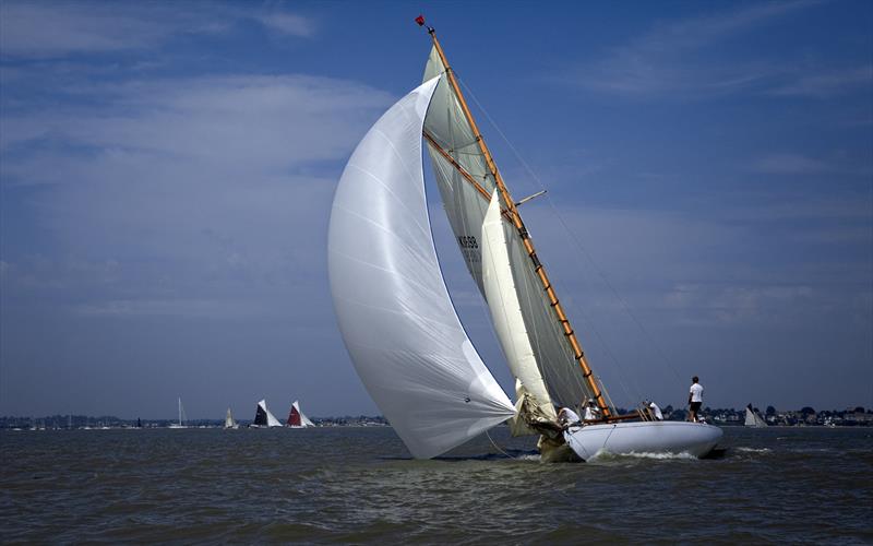 Richard Matthews Fife Gaff Cutter - 51st Mersea Week - photo © Chrissie Westgate