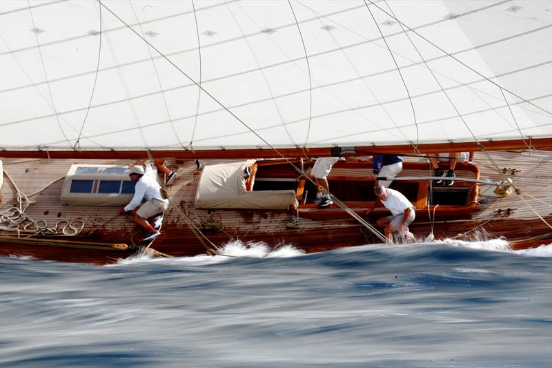 Pantaenius Yacht Racing Image Award 2025 - Lady Anne during Les Voiles de Saint-Tropez - photo © Eugenia Bakunova