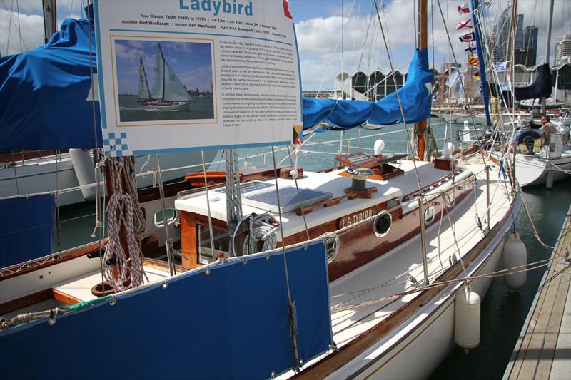 Ladybird - Auckland Wooden Boat Festival - March 2026 - photo © Richard Gladwell - Sail-World.com/nz