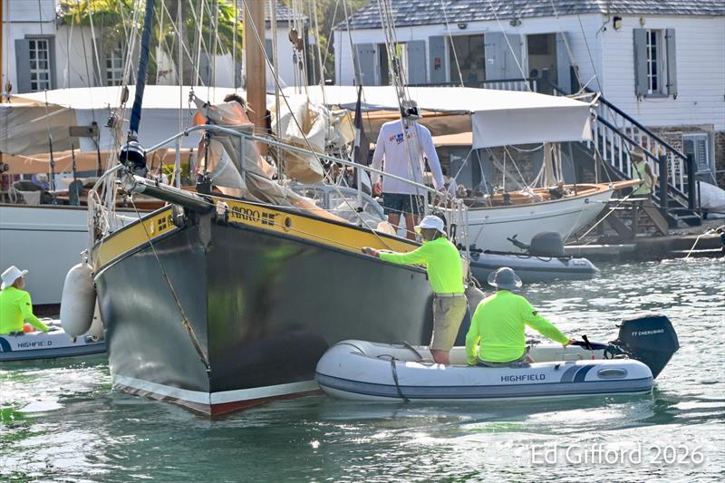 Antigua Classic Yacht Regatta day 1 - photo © Ed Gifford 2026