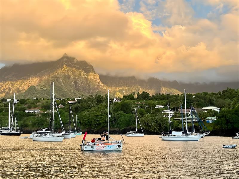 36 days of no other contact with people and Pilar Pasanau (#98 Peter Punk / ESP) is happy to sail in. She had a STARLINK onboard but did not use it?  - photo © Frieda Fennell