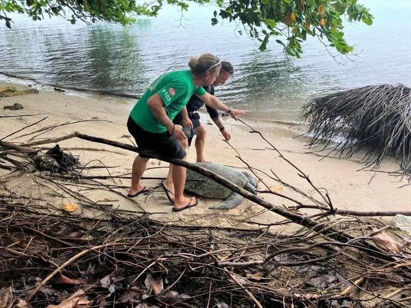 At the Cocos Keeling pitstop, Christian and Jakub assist a turtle back to the water after freeing it from tangled roots - photo © Jakub Ziemkiewicz / MGR2025