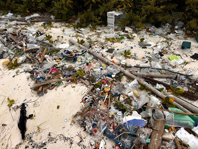 Keri noted that a significant number of disposable plastic cups had washed up on the beach, accounting for roughly 10% of the plastic waste he observed in the Indian Ocean - photo © Keri Harris / MGR2025