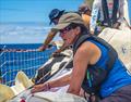 © Clipper Race