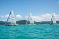 The Clipper Race fleet in the Whitsundays © Brooke Miles Photography