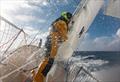 © Clipper Race