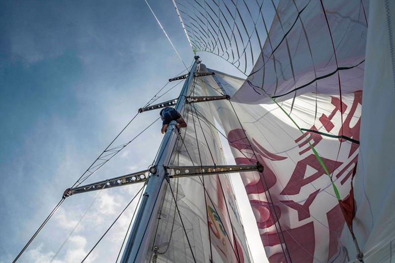 Afshin up the mast - The Clipper Race Leg 5 - Race 6, Day 16 photo copyright Clipper Race taken at  and featuring the Clipper 70 class