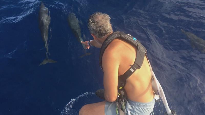 Michiel spots a couple of dolphins photo copyright Clipper Race taken at  and featuring the Clipper 70 class