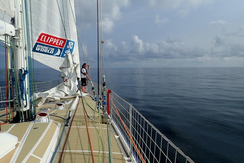 Wheres The Wind Gone - WTC Logistics - photo © Clipper Race