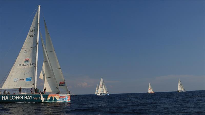 Sails are hoisted and the fleet is off! - photo © Clipper Race