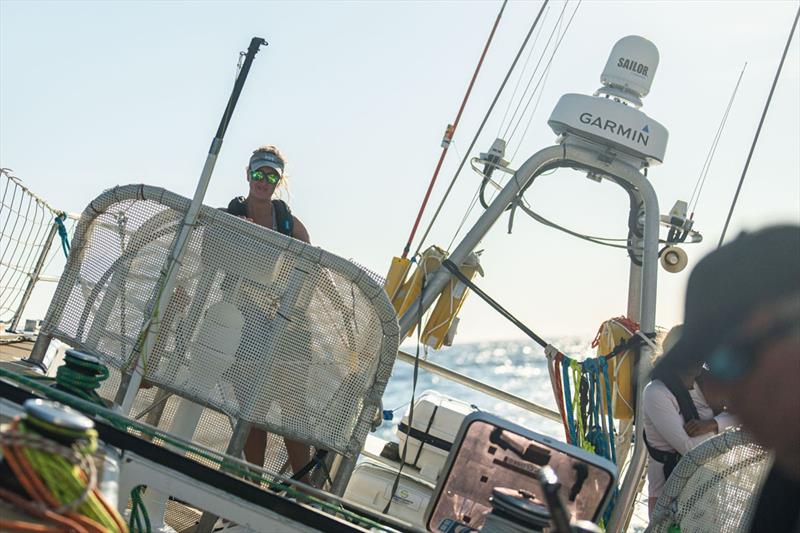 Clipper Race 14 - Rachel at the helm of WTC Logistics - photo © Clipper Race