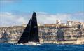 Swan Bonifacio Challenge © Studio Borlenghi