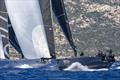 Swan Bonifacio Challenge &copy; Studio Borlenghi